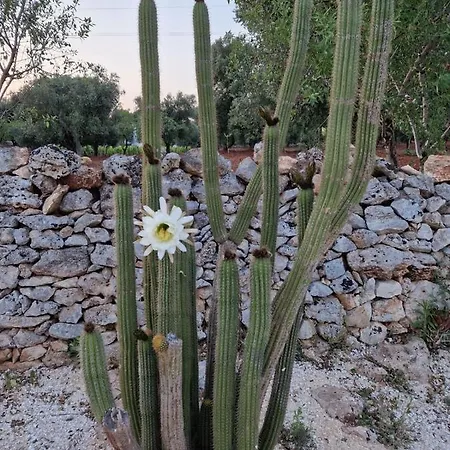 Villa Masserina D'aloia: Un Piccolo Tesoro Nella Natura *